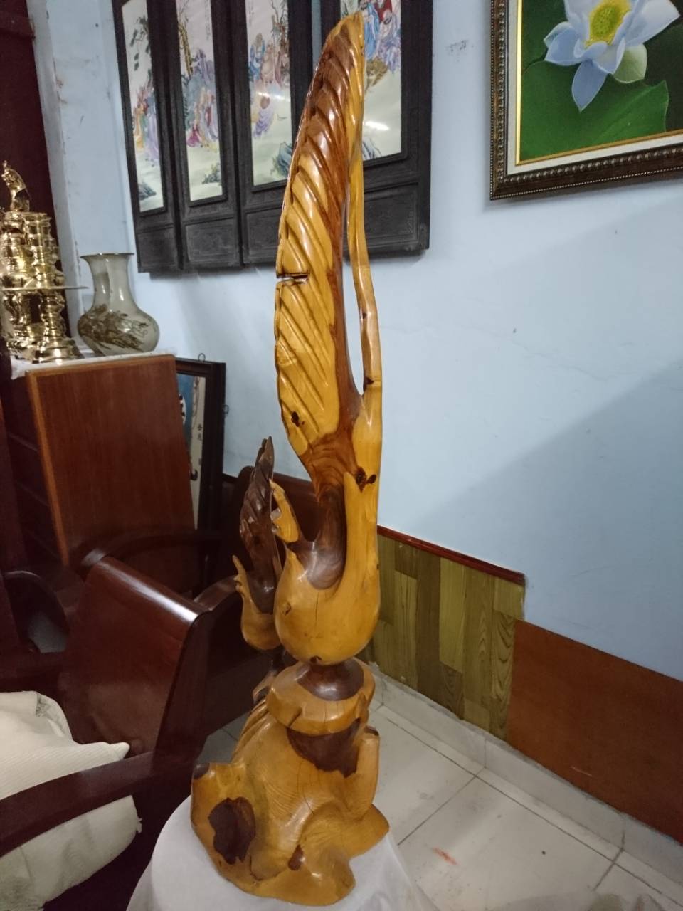 lục bình phay lục bình phay