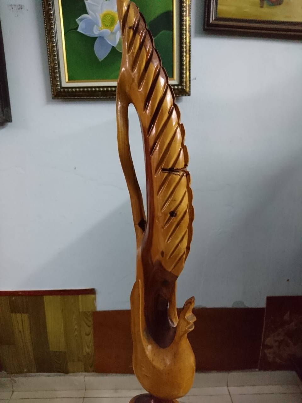 lục bình phay lục bình phay