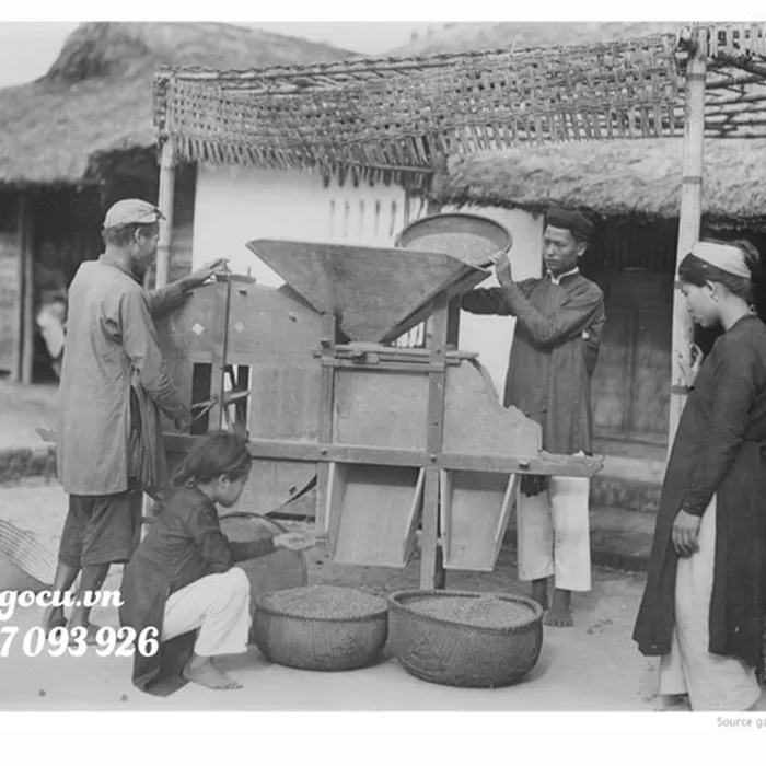 Quạt thóc ngày xưa