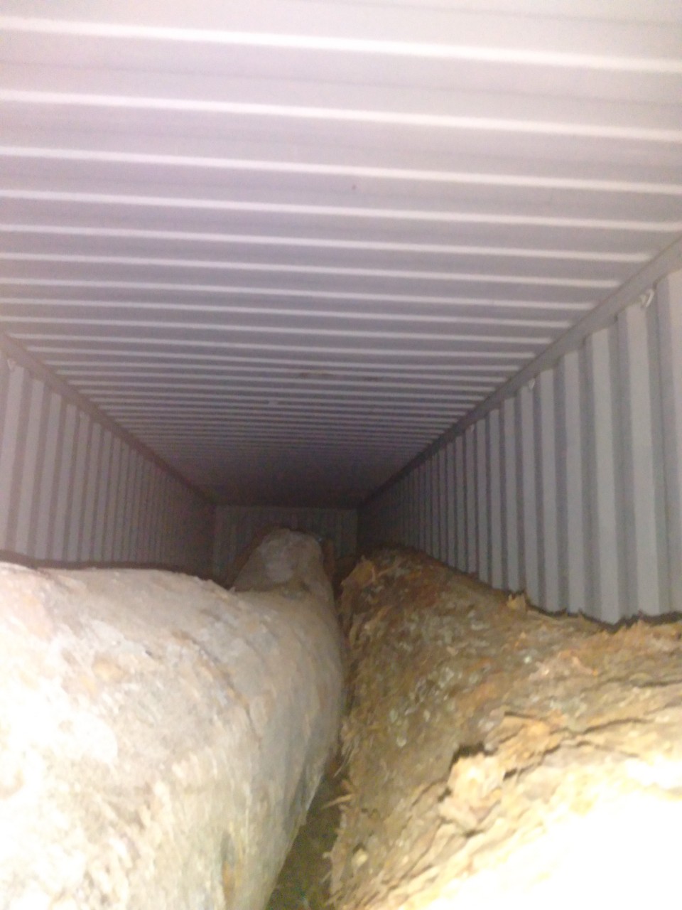 thủ tục nhập khẩu gỗ