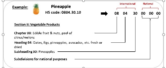 dịch vụ vận chuyển hàng từ canada về việt nam