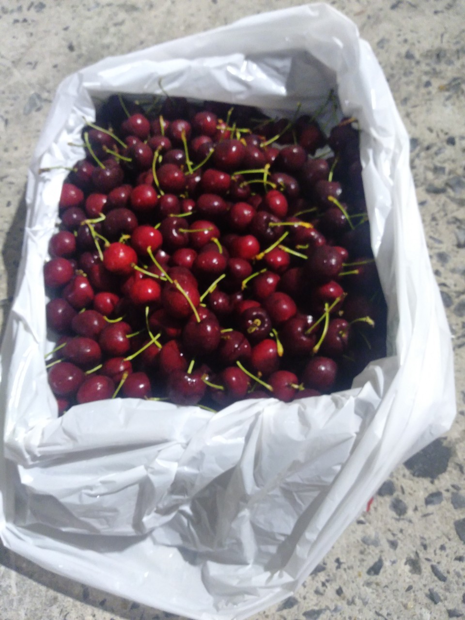 thủ tục nhập khẩu trái cây tươi cherry