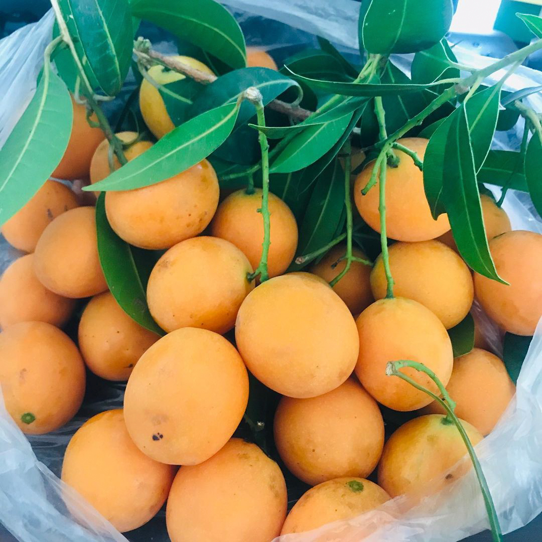 thủ tục nhập khẩu trái cây tươi thanh trà thái lan