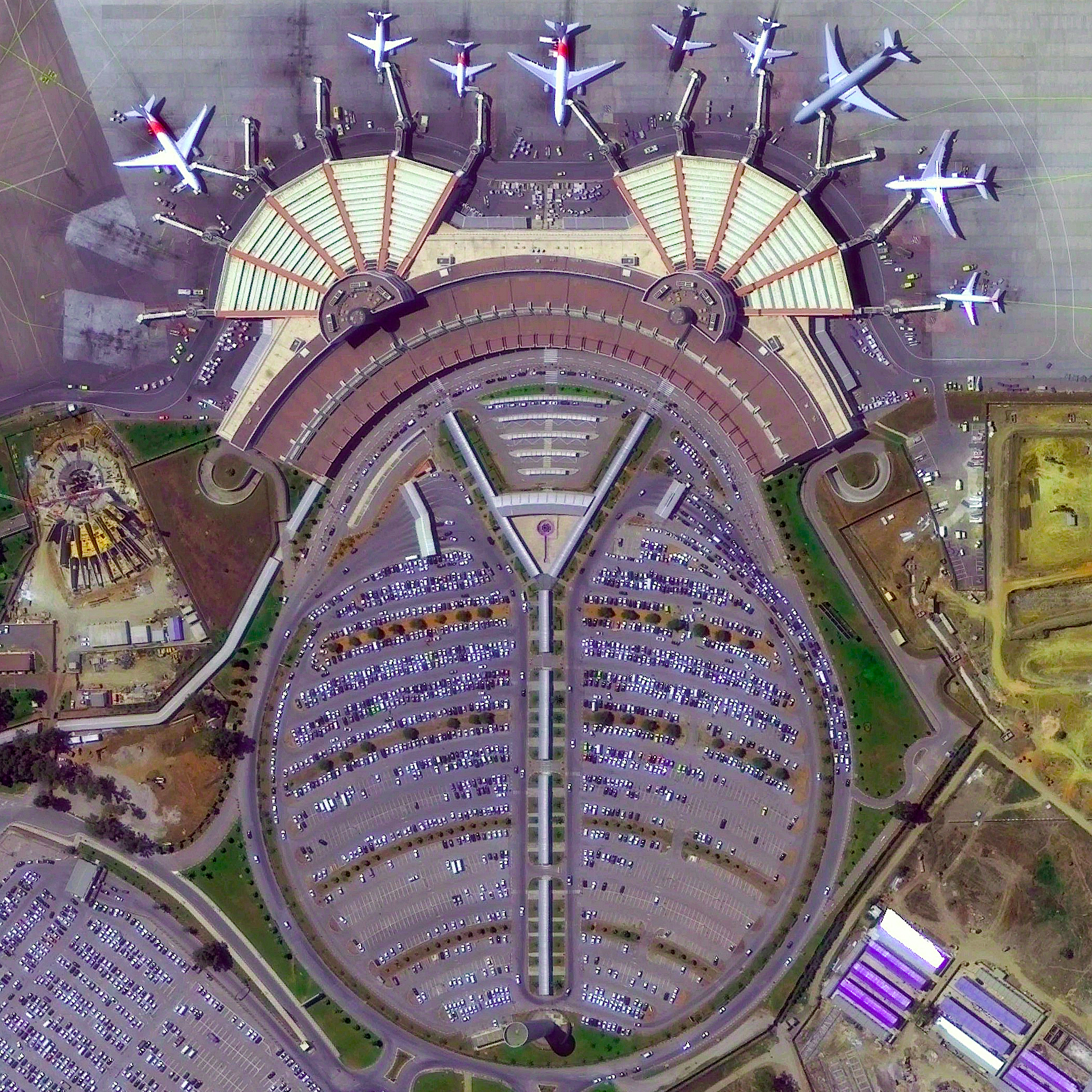 vận chuyển hàng từ Algeria về việt nam bằng đường biển