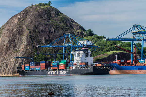 vận chuyển hàng từ brazil về việt nam