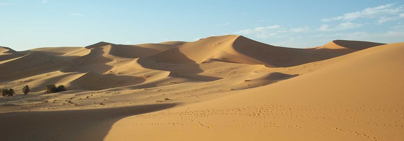 VẬN CHUYỂN HÀNG TỪ ALGERIA VỀ VIỆT NAM