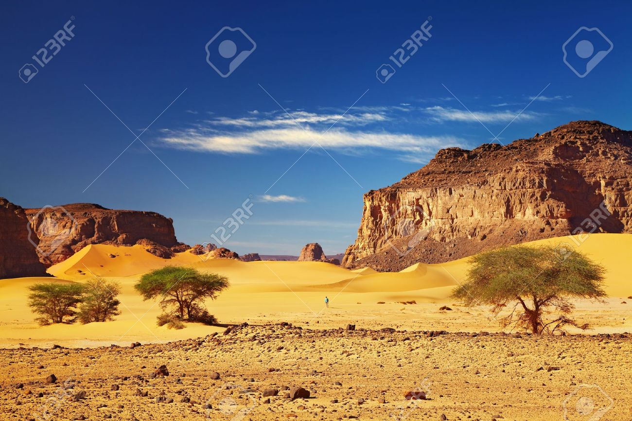 VẬN CHUYỂN HÀNG TỪ ALGERIA VỀ VIỆT NAM