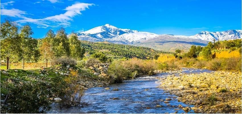 vận chuyển hàng từ algeria về việt nam