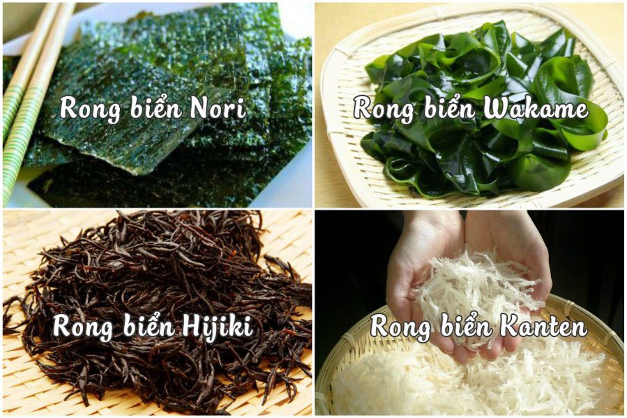 công ty dịch vụ hải quan chuyên làm thủ tục nhập khẩu rong biển