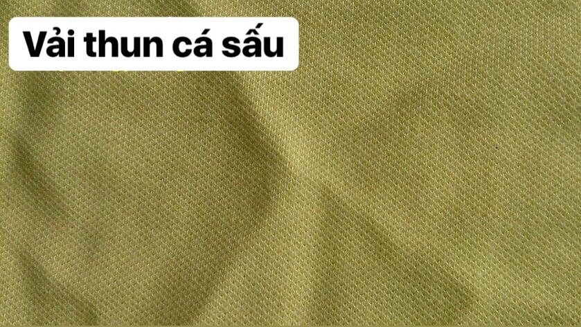 công ty dịch vụ hải quan uy tín tại tphcm