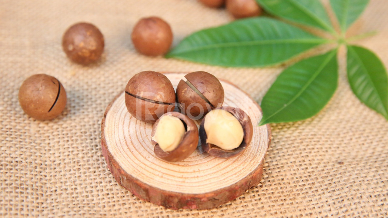 công ty dịch vụ hải quan uy tín