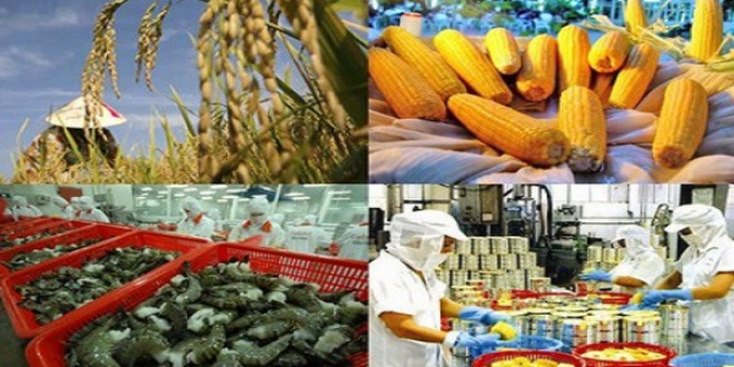 công ty dịch vụ hải quan uy tín tại tphcm