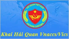công ty dịch vụ hải quan uy tín tại tp hcm