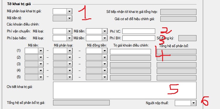 CÔNG TY DỊCH VỤ KHAI HẢI QUAN HÀNG NHẬP KHẨU