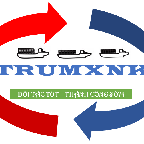 công ty dịch vụ khai hải quan giá rẻ