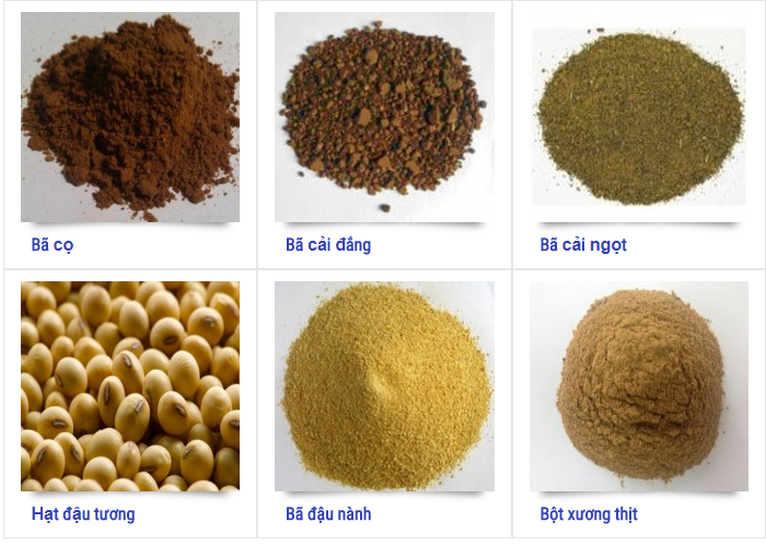 kiểm dịch thực vật nhập khẩu thức ăn chăn nuôi