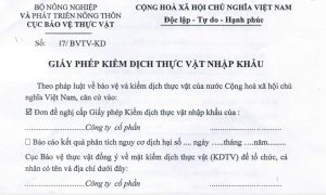 thủ tục kiểm dịch thực vật nhập khẩu
