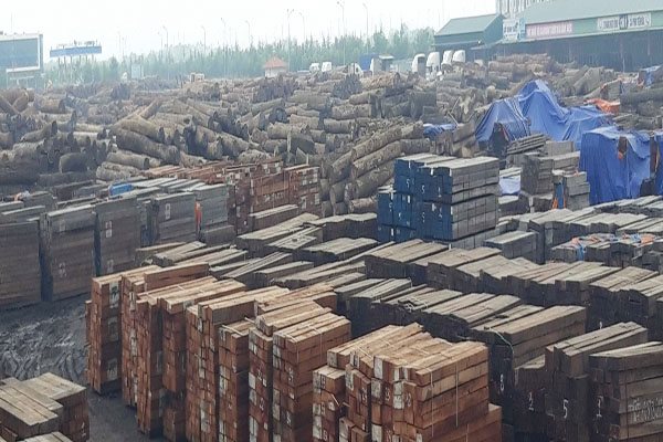 thủ tục nhập khẩu gỗ