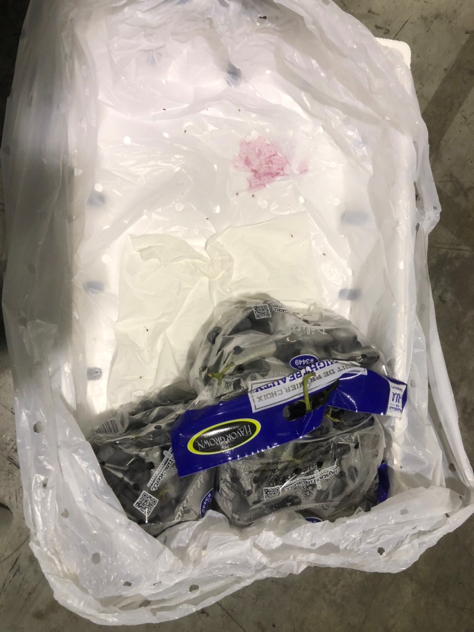 thủ tục nhập khẩu nho tươi