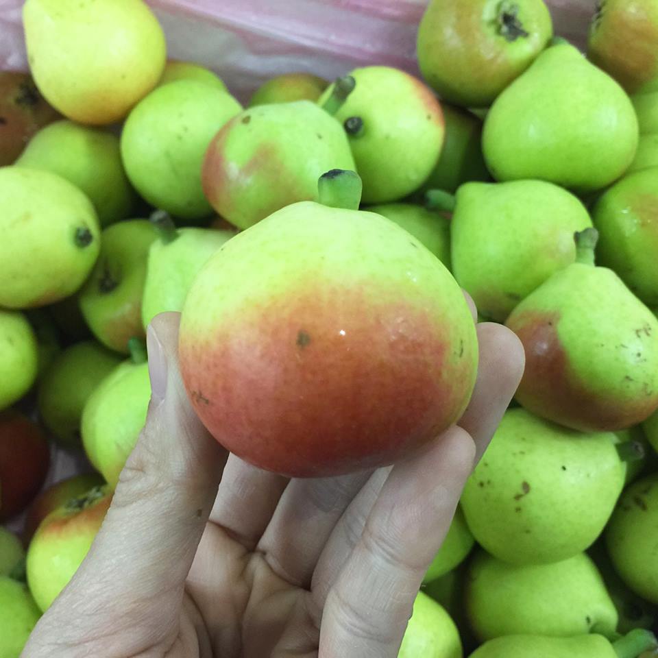 thủ tục nhập khẩu lê úc