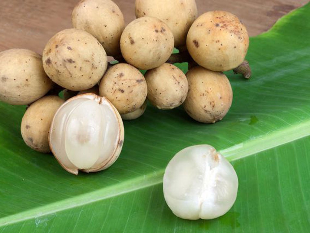 thủ tục nhập khẩu trái cây tươi Bòn Bon Thái Lan