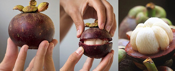 thủ tục nhập khẩu trái cây tươi măng cụt thái lan