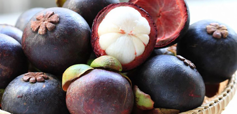 thủ tục nhập khẩu trái cây tươi măng cụt thái lan