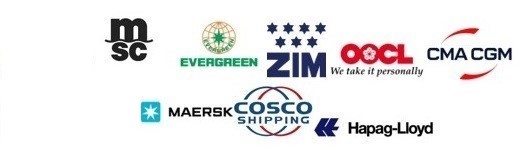 vận chuyển hàng từ ấn độ về việt nam