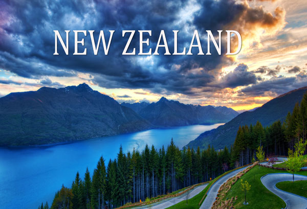 vận chuyển hàng từ new zealand về việt nam
