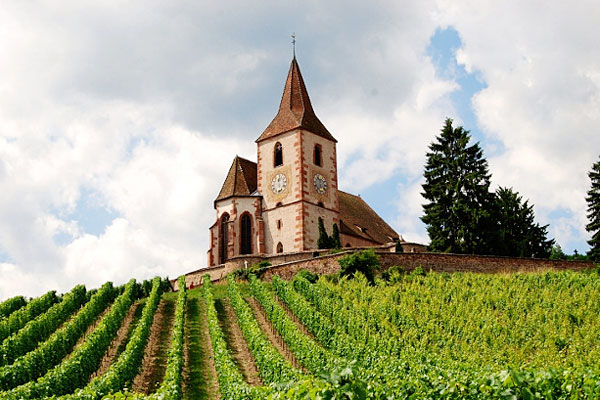 vận chuyển hàng từ pháp về việt nam bằng đường biển