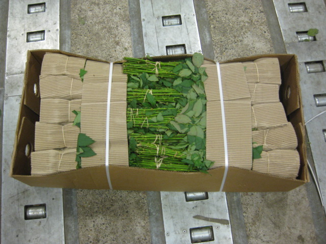 vận chuyển hoa bằng đường hàng không