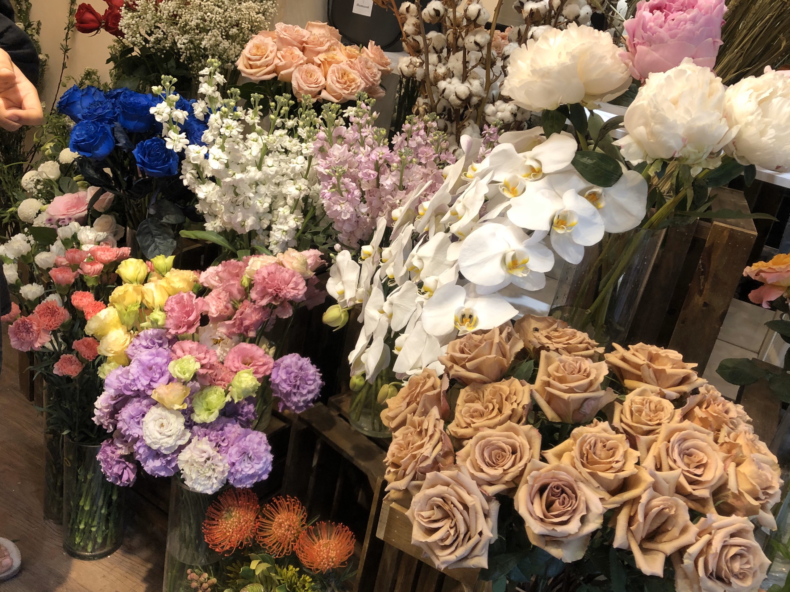 vận chuyển hoa nhập khẩu