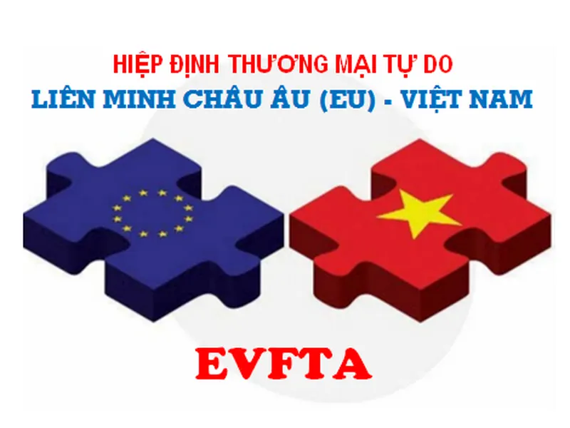 CÁCH ĐỂ HƯỞNG ƯU ĐÃI THUẾ NHẬP KHẨU KHI VẬN CHUYỂN HÀNG TỪ ĐỨC VỀ VIỆT NAM