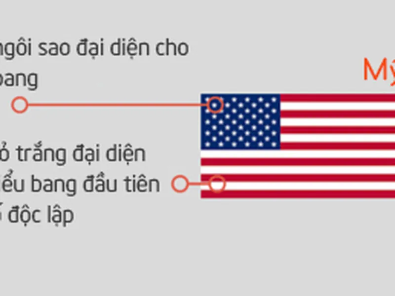 DỊCH VỤ HẢI QUAN NHẬP KHẨU TỪ MỸ VỀ VIỆT NAM