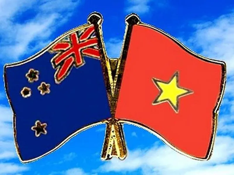 DỊCH VỤ HẢI QUAN NHẬP KHẨU TỪ NEW ZEALAND VỀ VIỆT NAM