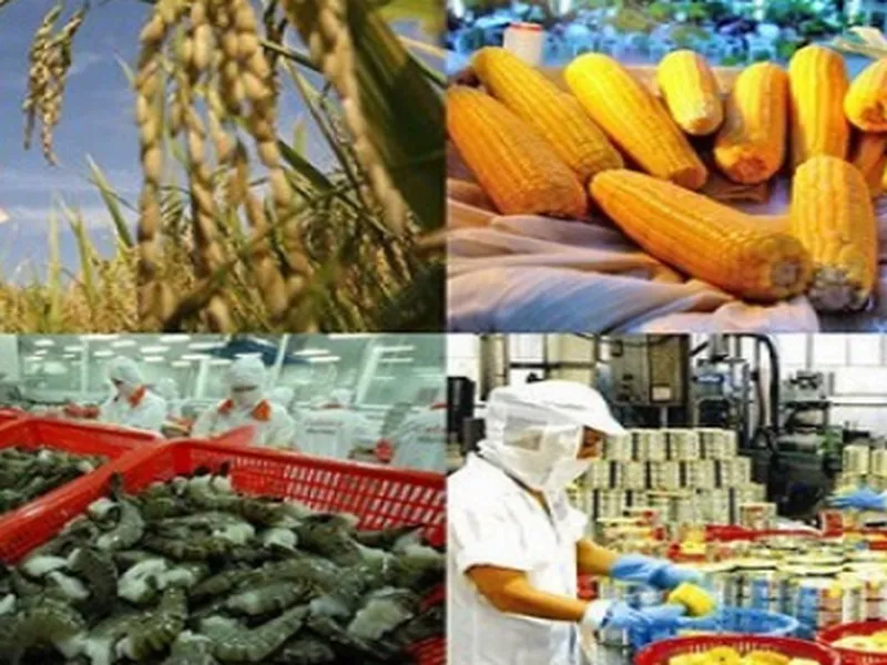 DỊCH VỤ KHAI BÁO HẢI QUAN NHẬP KHẨU