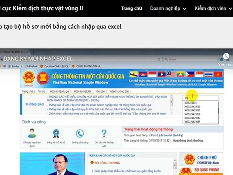 KIỂM DỊCH THỰC VẬT – ĐĂNG KÝ QUA MẠNG RÚT NGẮN THỜI GIAN KIỂM DỊCH