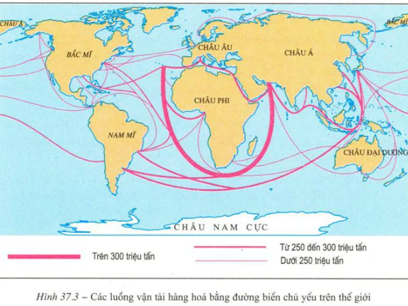 THỜI GIAN VẬN CHUYỂN HÀNG BẰNG ĐƯỜNG BIỂN TỪ ĐÀ NẴNG VIỆT NAM SANG ẤN ĐỘ