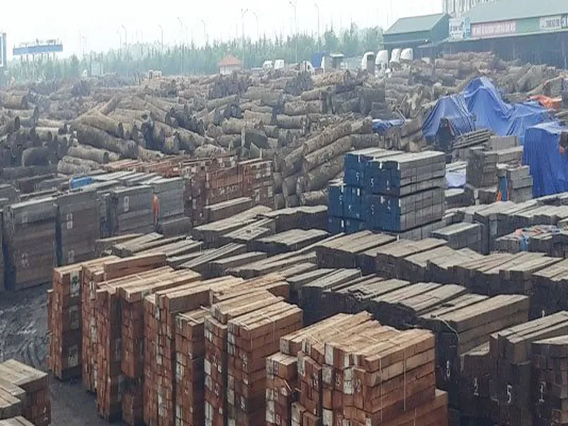 THỦ TỤC NHẬP KHẨU GỖ