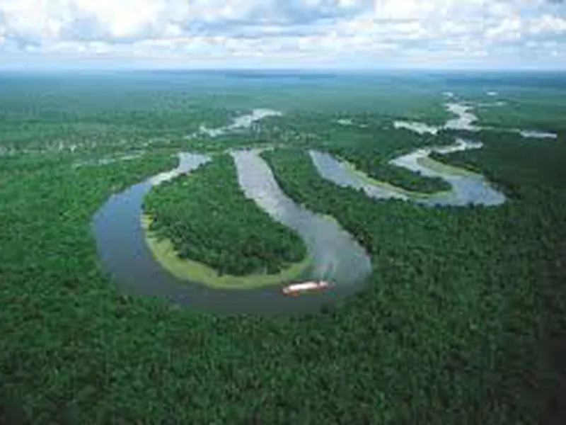 Vận Chuyển Hàng Từ Brazil Về Việt Nam - Vận chuyển đường biển