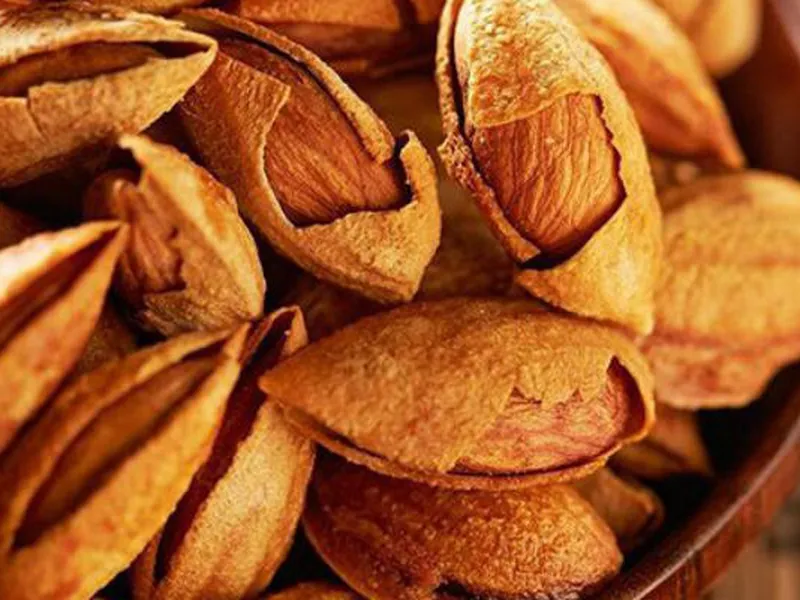 VẬN CHUYỂN HÀNG TỪ ĐỨC VỀ VIỆT NAM BẰNG ĐƯỜNG BIỂN