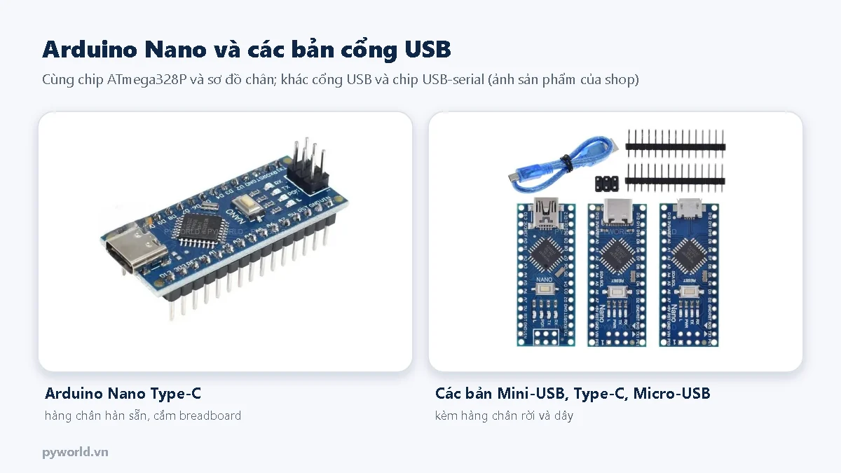 Hai ảnh: Arduino Nano cổng Type-C hàn sẵn hàng chân; ba bản Arduino Nano cổng Mini-USB, Type-C, Micro-USB kèm hàng chân rời và dây USB