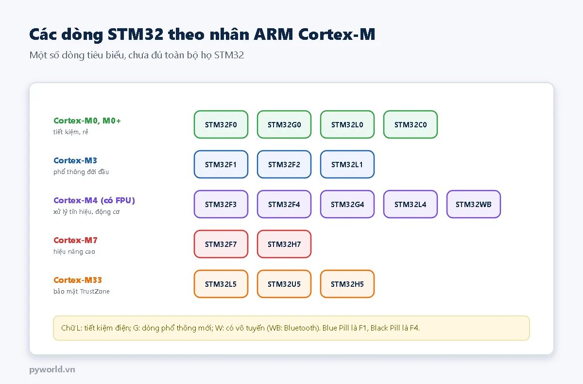 Bảng các dòng STM32 theo nhân: Cortex-M0, M0+ gồm F0, G0, L0, C0; Cortex-M3 gồm F1, F2, L1; Cortex-M4 có FPU gồm F3, F4, G4, L4, WB; Cortex-M7 gồm F7, H7; Cortex-M33 gồm L5, U5, H5
