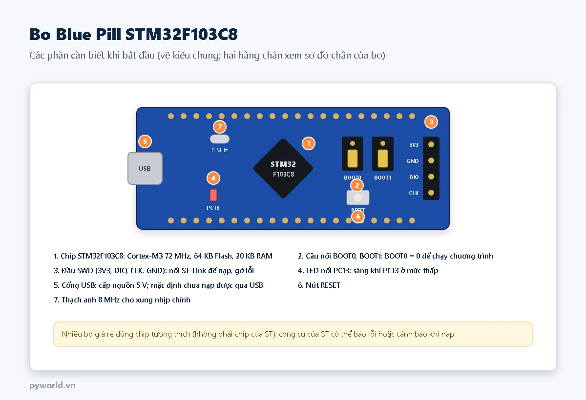 Bo Blue Pill đánh số: chip STM32F103C8; cầu nối BOOT0, BOOT1; đầu SWD gồm 3V3, DIO, CLK, GND; LED nối PC13; cổng USB; nút RESET; thạch anh 8 MHz