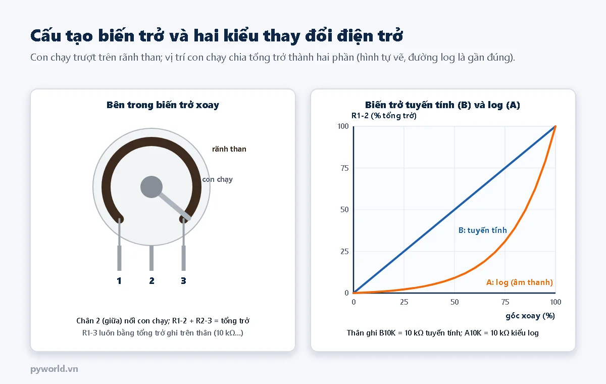 Bên trái: bên trong biến trở xoay có rãnh than hình cung, con chạy nối trục ở giữa và ba chân 1, 2, 3; bên phải: đồ thị điện trở giữa chân 1 và chân 2 theo góc xoay, biến trở B tuyến tính là đường thẳng, biến trở A kiểu log là đường cong tăng chậm lúc đầu rồi tăng nhanh