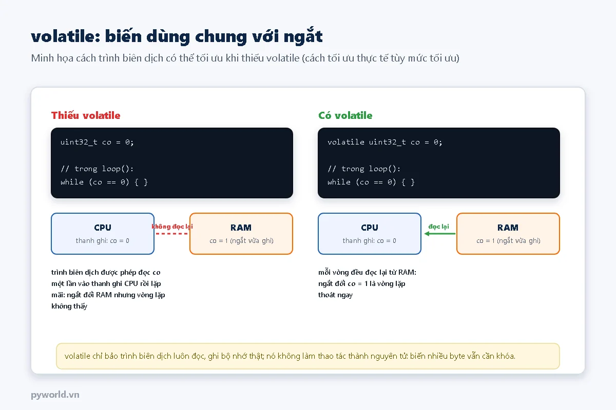 Hai cột: thiếu volatile thì trình biên dịch có thể đọc biến một lần vào thanh ghi CPU và lặp mãi dù ngắt đã ghi 1 vào RAM; có volatile thì mỗi vòng đọc lại RAM và thoát ngay
