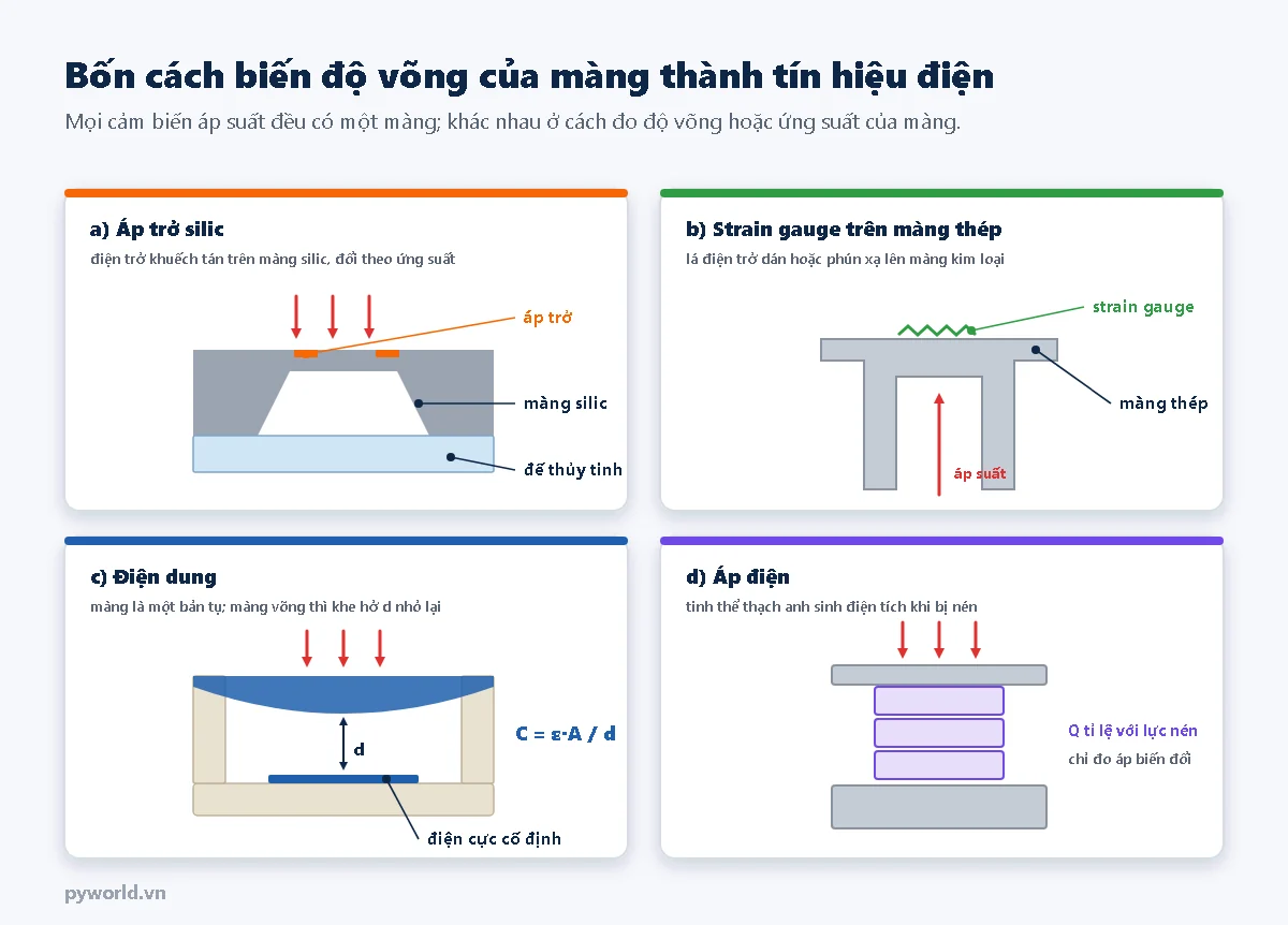 Bốn mặt cắt nguyên lý cảm biến áp suất: áp trở silic khuếch tán trên màng silic với đế thủy tinh, strain gauge trên màng thép, tụ điện có màng là một bản tụ và khe hở d, tinh thể thạch anh áp điện bị nén giữa hai tấm thép