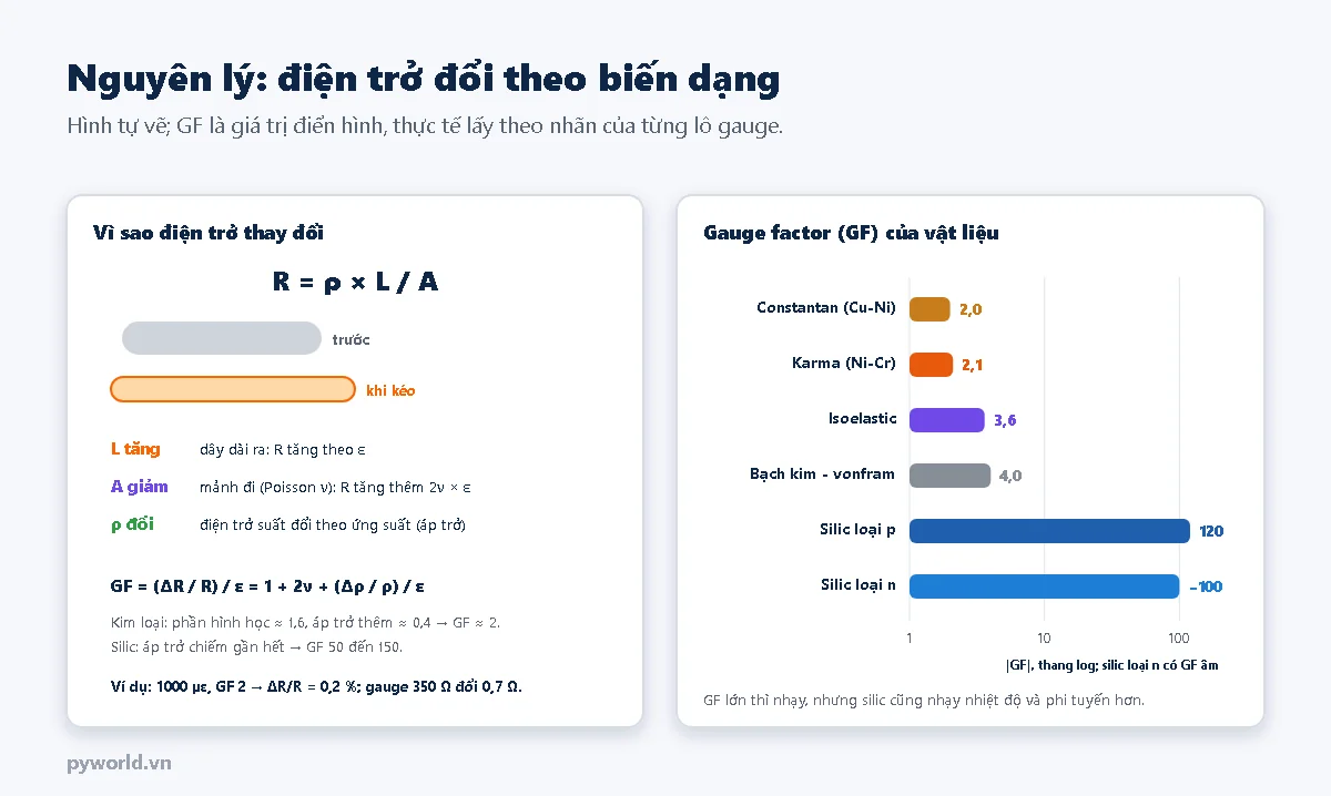 Bên trái: công thức R bằng rho nhân L chia A, khi kéo dây dài ra, mảnh đi và điện trở suất đổi, GF bằng 1 cộng 2 nu cộng thành phần áp trở; bên phải: biểu đồ gauge factor của constantan 2,0, karma 2,1, isoelastic 3,6, bạch kim vonfram 4,0, silic loại p 120, silic loại n âm 100