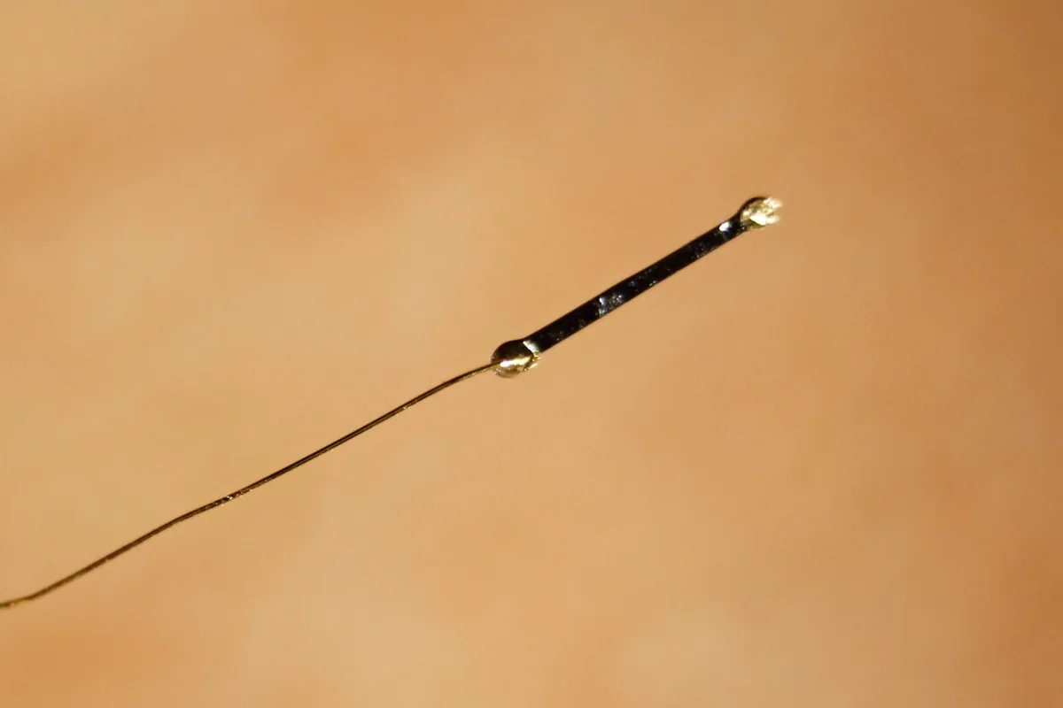 Strain gauge bán dẫn silic: thanh silic nhỏ màu đen dài vài mm, hai đầu có mối hàn nhỏ, một sợi dây vàng rất mảnh nối ra, nền màu cam mờ
