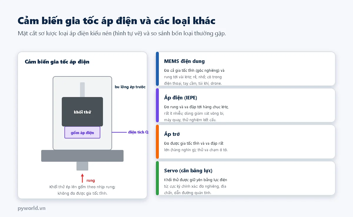 Mặt cắt cảm biến gia tốc áp điện kiểu nén: đế, phần tử gốm áp điện, khối thử và bu lông ép trước bên trong vỏ, điện tích Q lấy ra từ gốm; bên phải là bốn thẻ so sánh MEMS điện dung, áp điện IEPE, áp trở và servo cân bằng lực